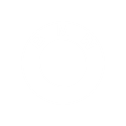 bmw-256×256-02